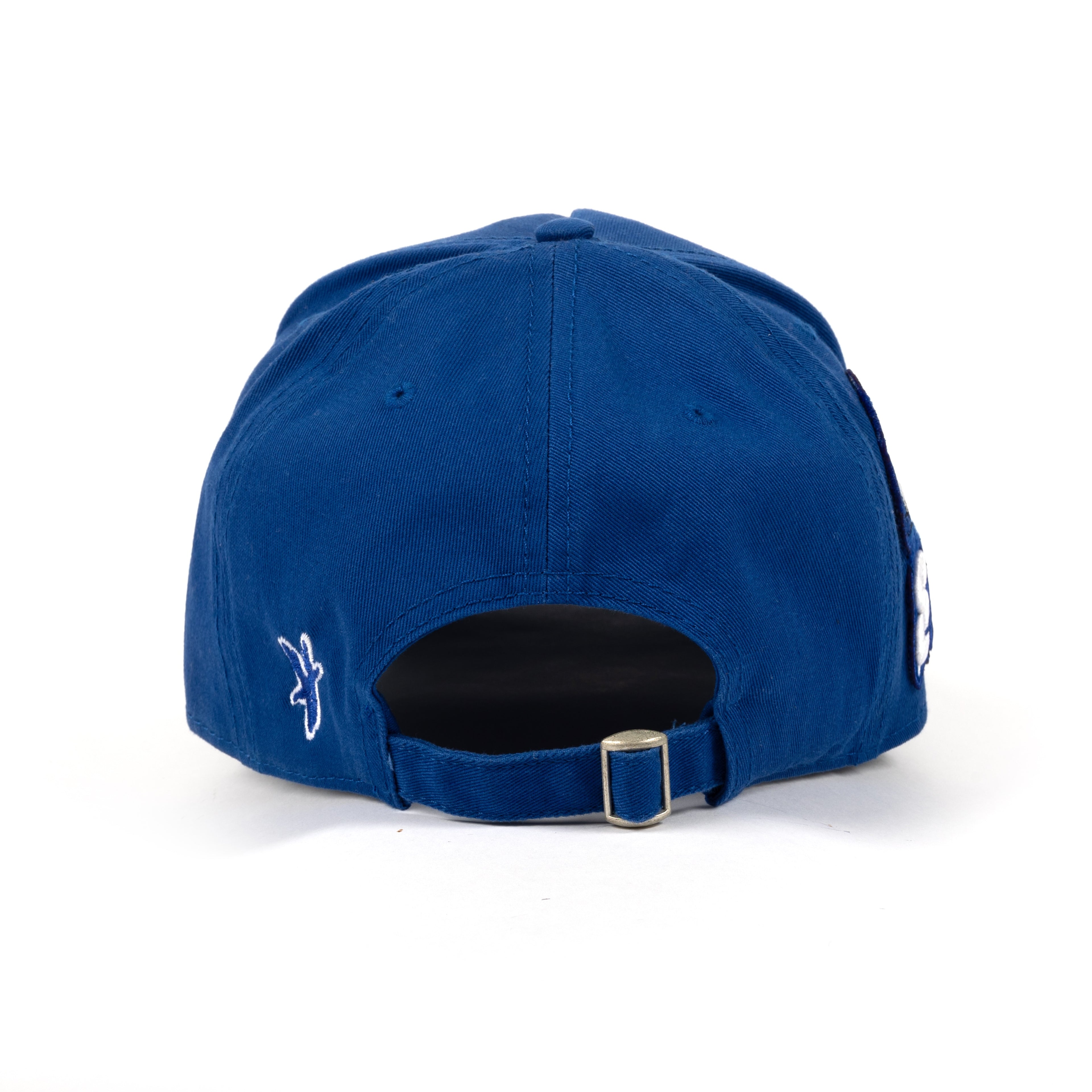 Blue Cap